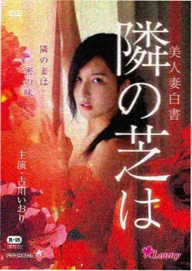 寡妇村往事