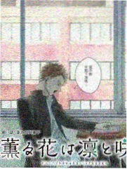 寡妇村·春